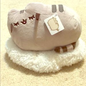 Sleepy pusheen